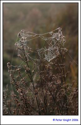 mist basin 3534_sm.jpg