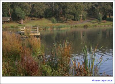 mist basin 3560_sm.jpg