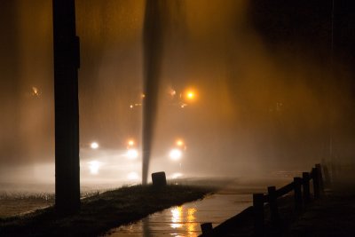 Boronia hydrant 3 7686 low res.jpg