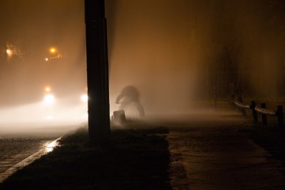 Boronia hydrant 7 7702 low res.jpg