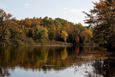 River Seclusion