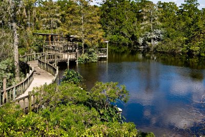 Gatorland Overlook