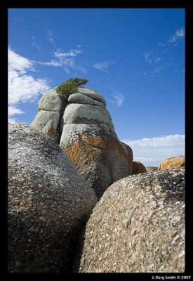 Tenacity, Seal Rock, Eddystone Point, Tasmania