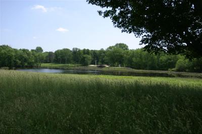 IMG_5103 (Large).jpg