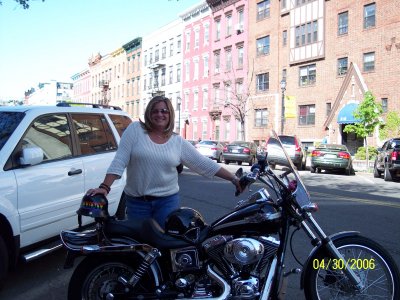 STOLEN 2003 Harley Davidson