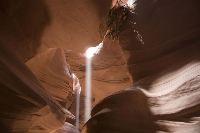 _MG_6327.jpg