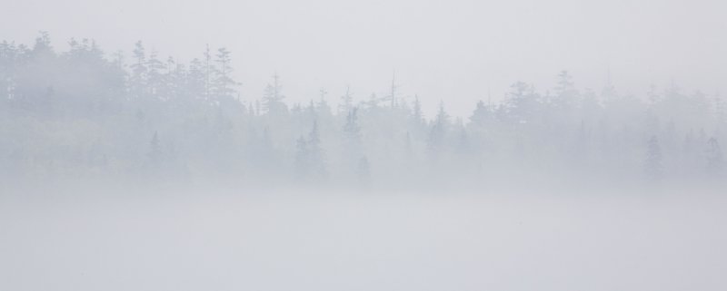 _MG_6761.jpg