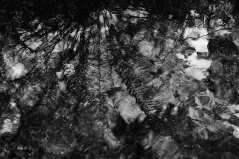 _MG_8913edbw.jpg