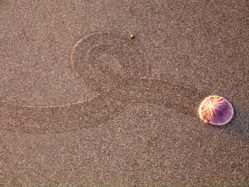 CRW_1097.jpg