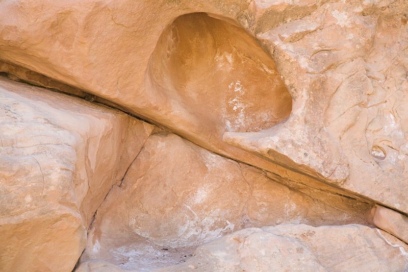 _MG_9225.jpg