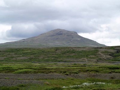 Brfell