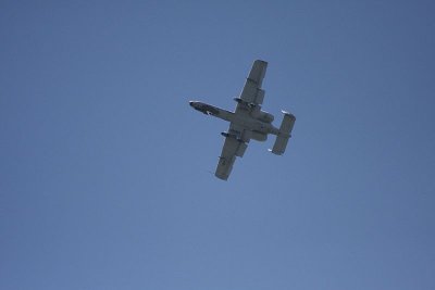 g4/10/697110/3/137986485.zi5R0fR4.jpg