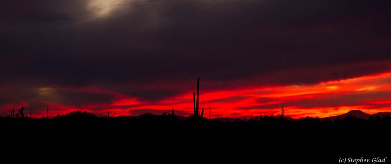 Sunset in the Desert (4)