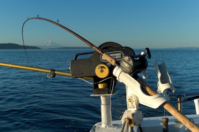 Fishing for Rainier