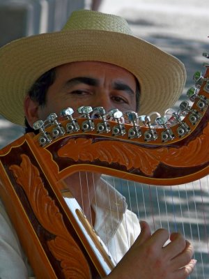 Thinkful Musician