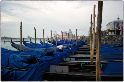 Venezia [#5]