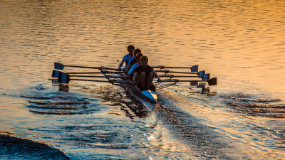 quad scull