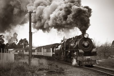 Steam excursion train near Darfield, Canterbury, New Zealand 