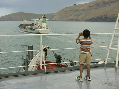 Coastal Surveillance, Lyttelton