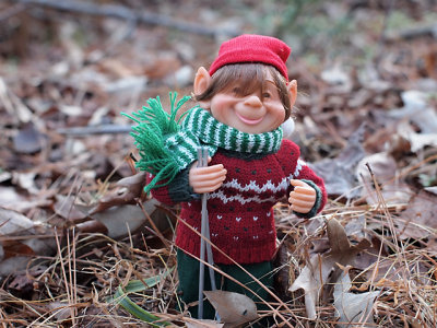 elf in the yard