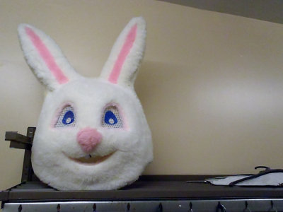 any bunny lose a head?
