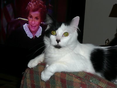 PJ and Judge Judy.