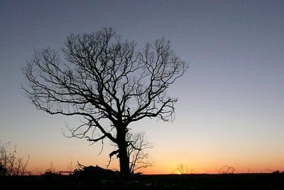 P1010325-s.jpg