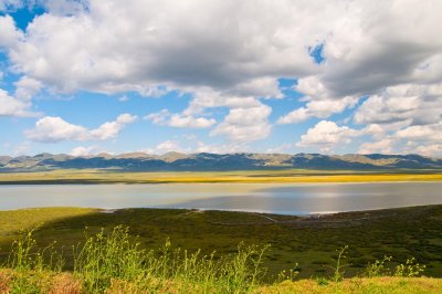 Carrizo Plain Soda Lake