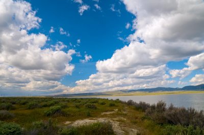Carrizo Plain Soda Lake