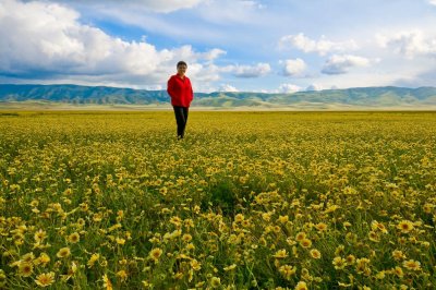 Carrizo Plain Tidy-Tips