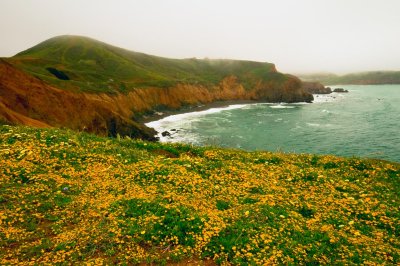 Mori Point