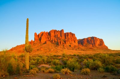 Arizona Desert