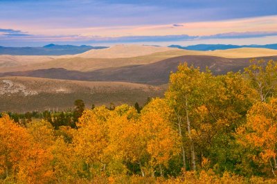 Aspen Colors at Virginai Lake Rd 20