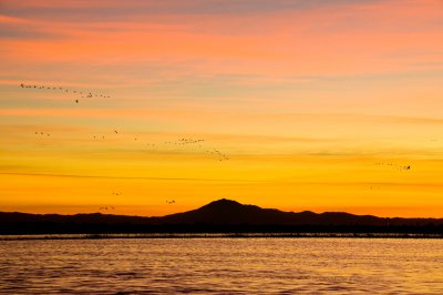 Stanten Island Sunset
