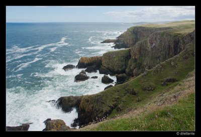 St Abb's Head coastline