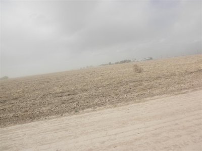 dust storm and tumbleweeds