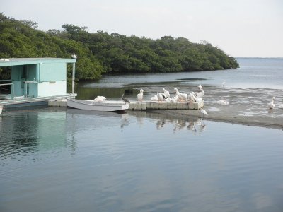 On sand bar