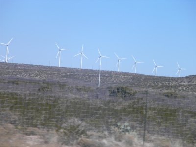 Texas windmill farms