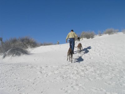 Rolf & dogs running up sand hill