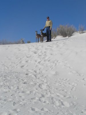 Rolf and dogs on top of sand hill