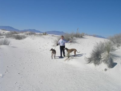 Bernice & dogs on sand