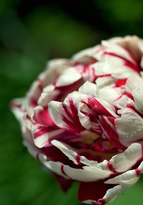 g4/10/813510/3/90571981.tIrY4As3.jpg