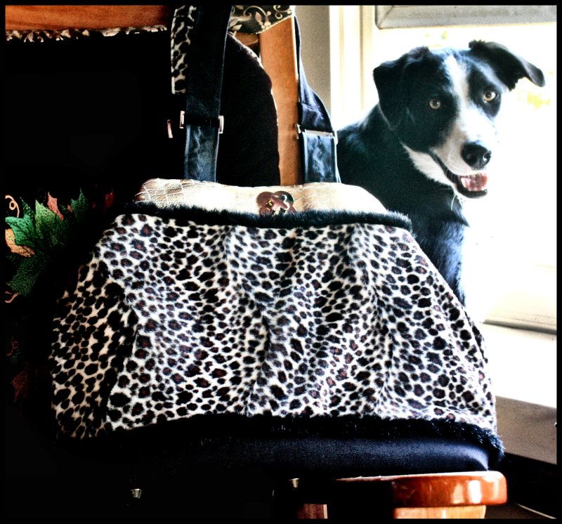 Mr Drew Dog with animal tote bag.jpg