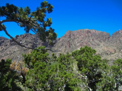 Trail View
