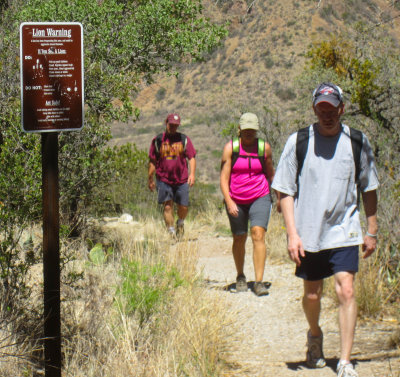 Tough Windows Trail