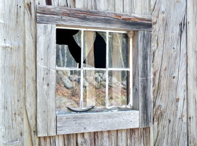 Spring on the Rattlesnakes & Evening in N. Conway May 7, 2011
