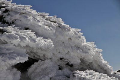IMG_7161.JPG