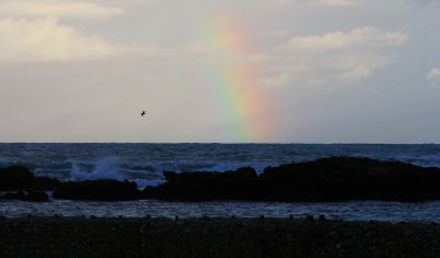 IMG_6006.JPG