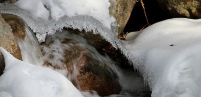 IMG_4661.JPG