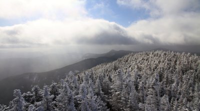 IMG_4742.JPG